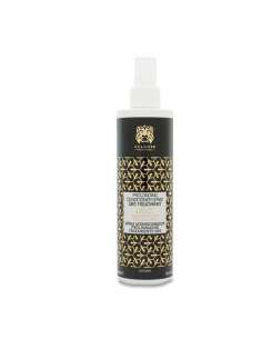 Spray Acondicionador SBS Divinity Effect | MM Boutique del Peluquero