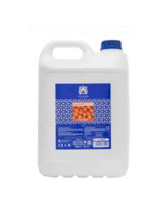 Champú de mandarina sin sal Neutro de 5000 ml Válquer
