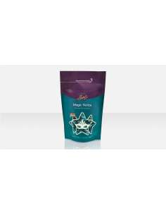 CERA caliente ITALWAX SOLO MAGIC Venicede 100gr