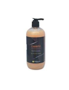 Champú Anticaída Brische de 500ml